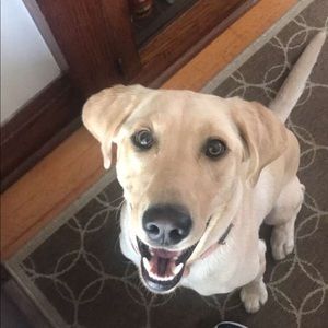 Meet your Posher, Brittany